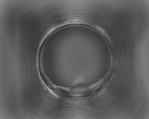 X0000058101334200509230950