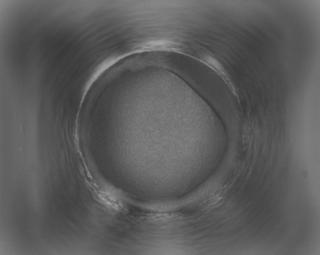 X0000058101336200509230950