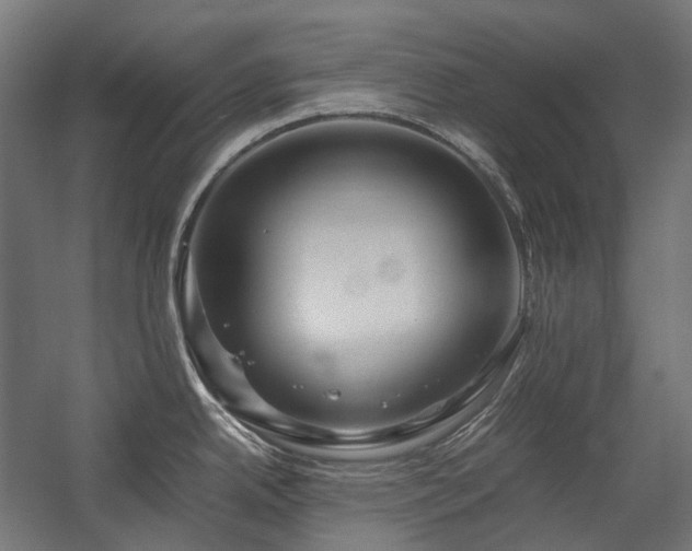 X0000058101342200509230950