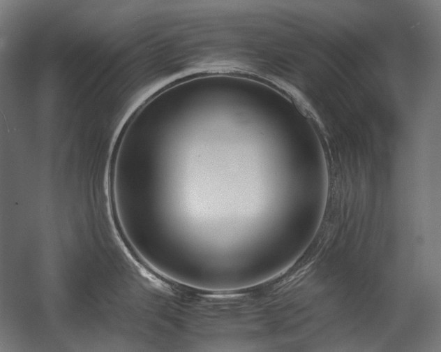 X0000058101343200509230950