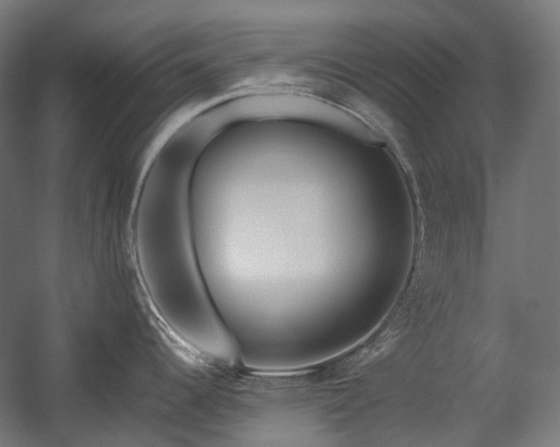 X0000058101344200509230950