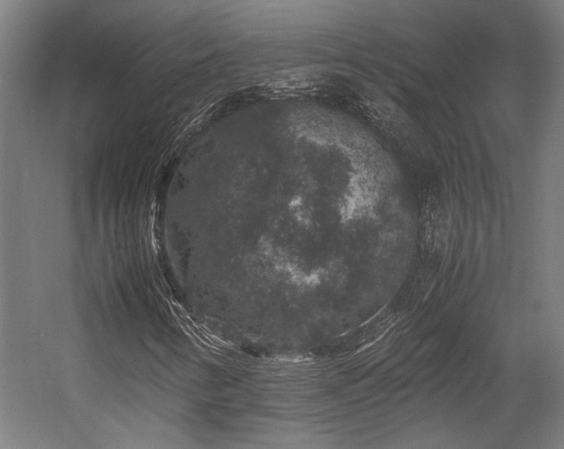 X0000058101346200509230949