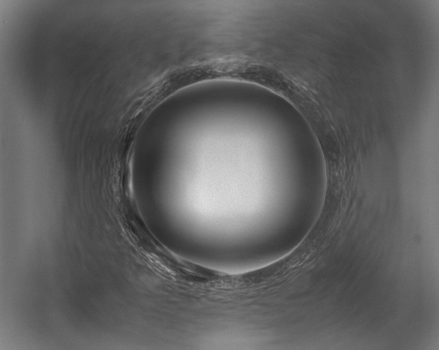 X0000058101349200509230949