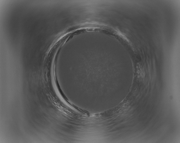 X0000058101352200509230949