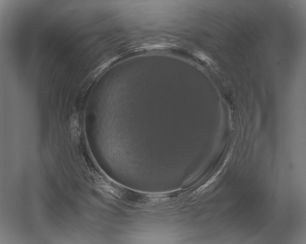 X0000058101353200509230949