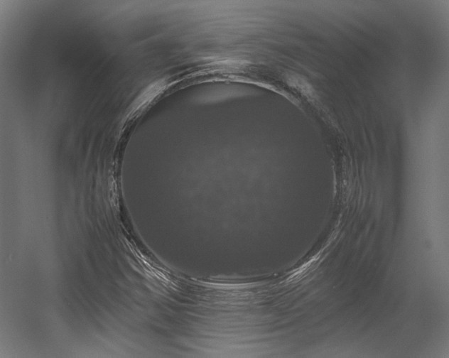 X0000058101354200509230949