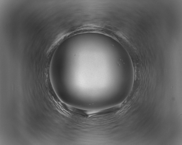 X0000058101355200509230949