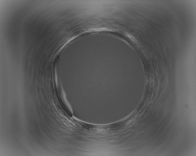 X0000058101361200509230949