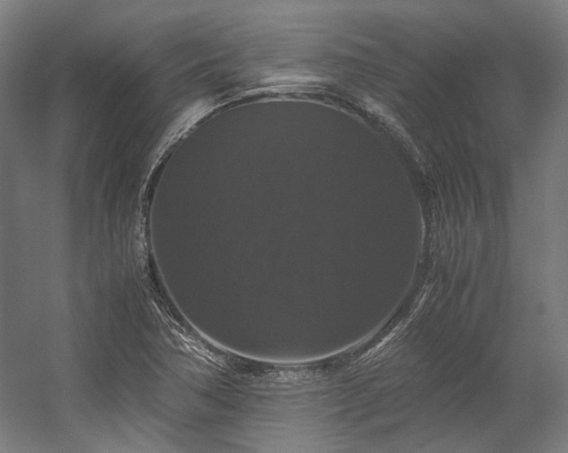 X0000058101362200509230949