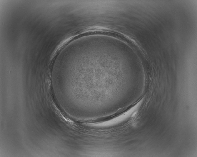 X0000058101363200509230949