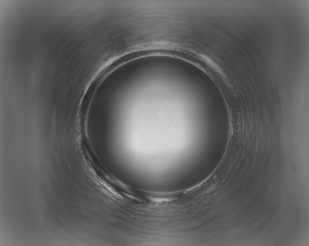 X0000058101364200509230949