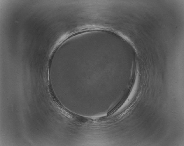 X0000058101365200509230949