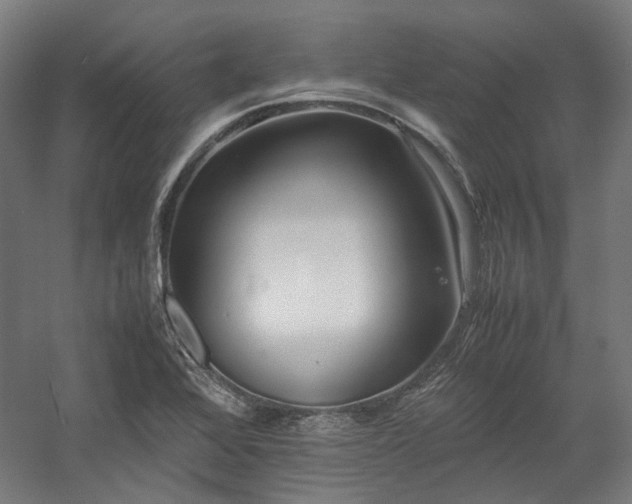 X0000058101368200509230949