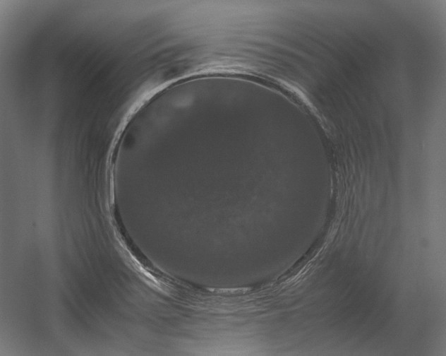 X0000058101371200509230948