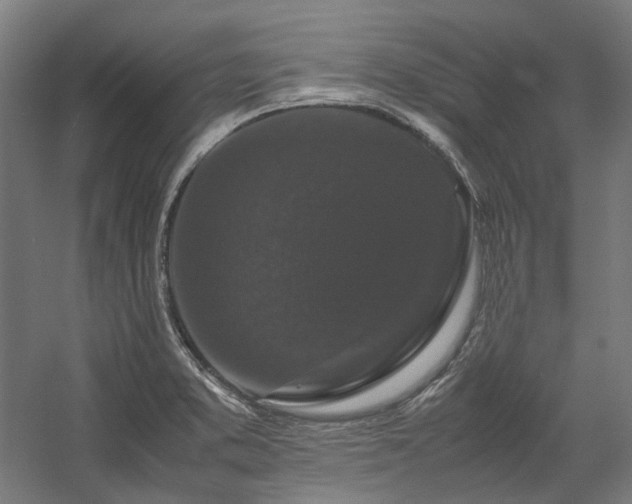 X0000058101373200509230948