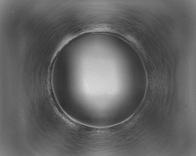 X0000058101374200509230948