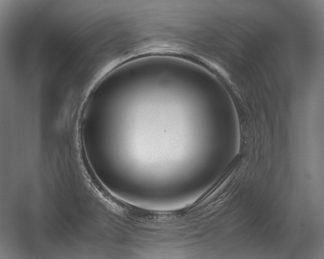 X0000058101375200509230948