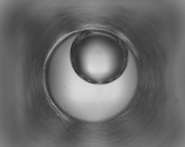 X0000058101376200509230948