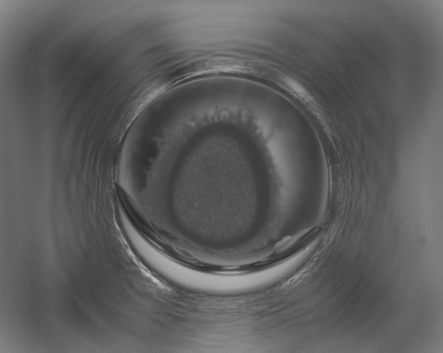 X0000058101377200509230948