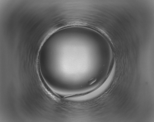 X0000058101379200509230948