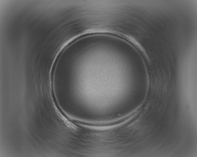 X0000058101380200509230948