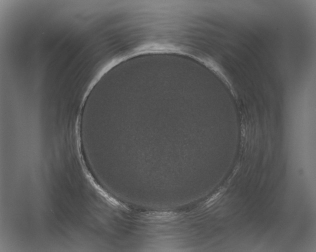 X0000058101382200509230948