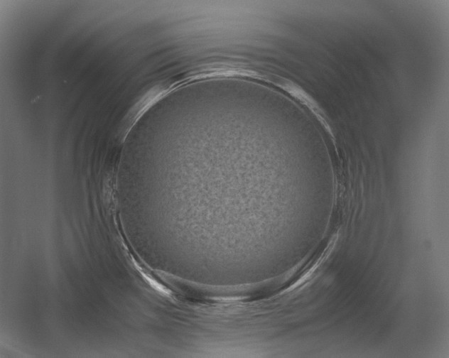 X0000058101385200509230948