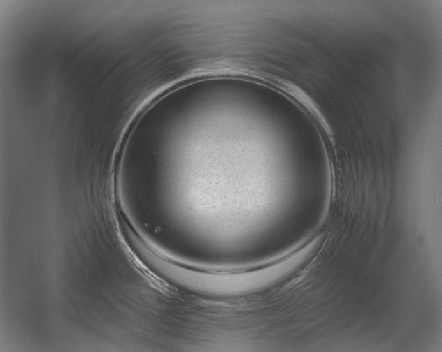 X0000058101388200509230948