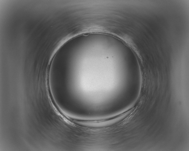 X0000058101390200509230948