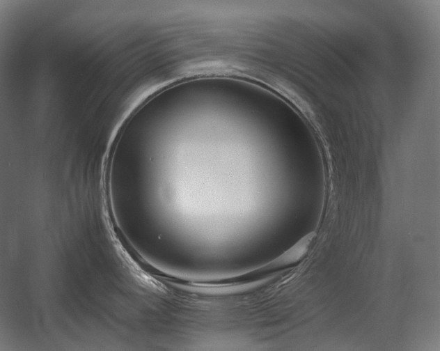 X0000058101392200509230948