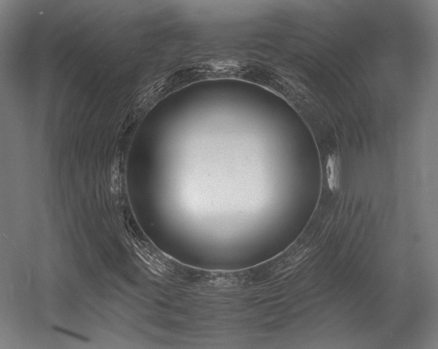 X0000058101395200509230947
