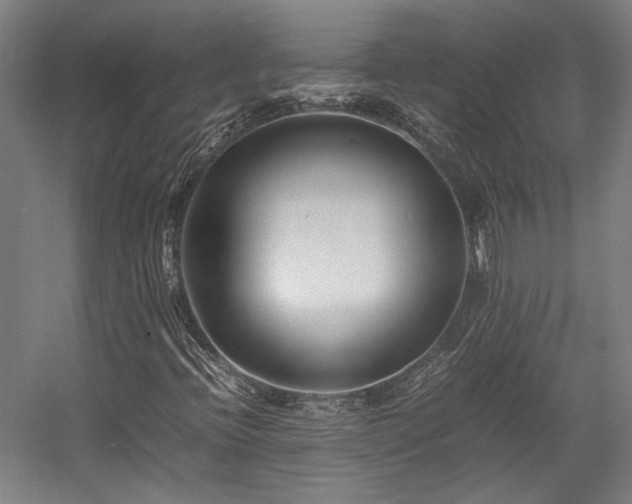 X0000058101396200509230947
