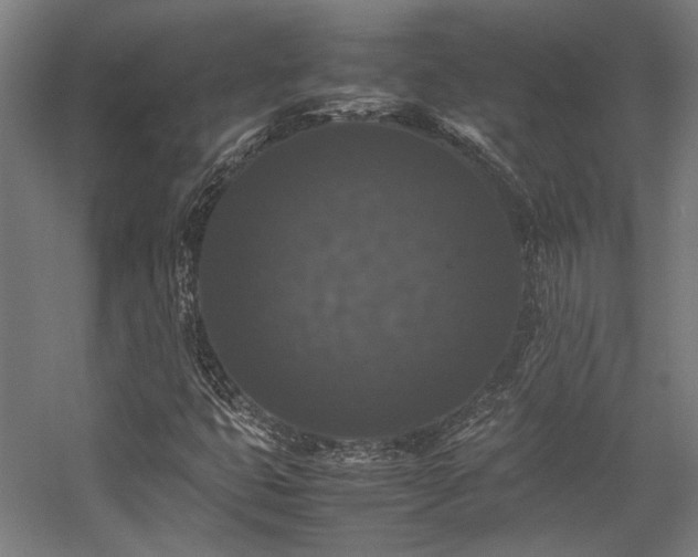 X0000058101399200509230947