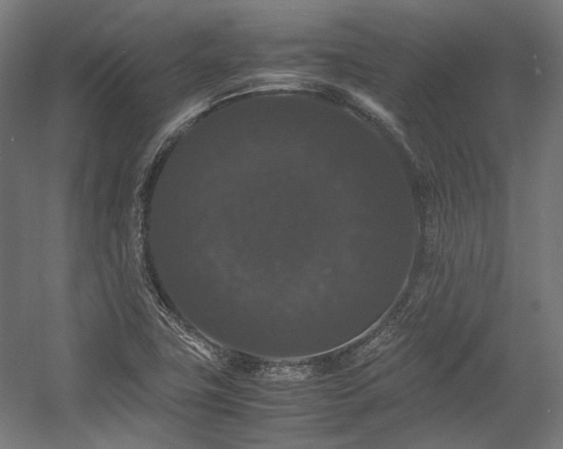 X0000058101411200509230948