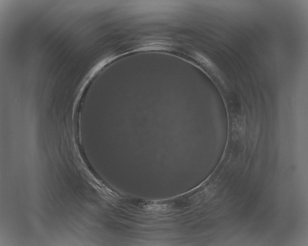 X0000058101419200509230948