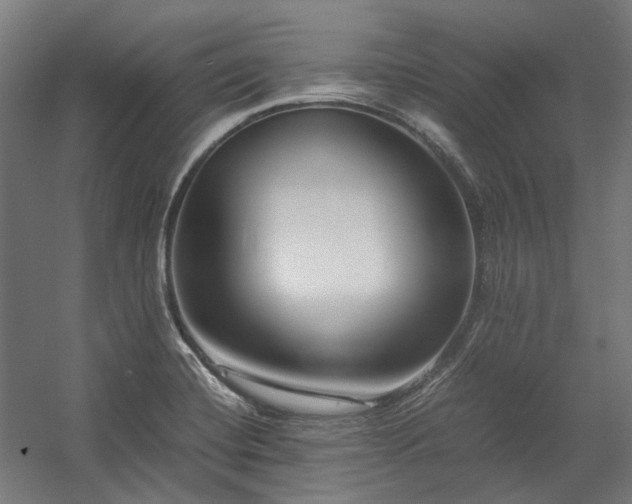 X0000058101420200509230948