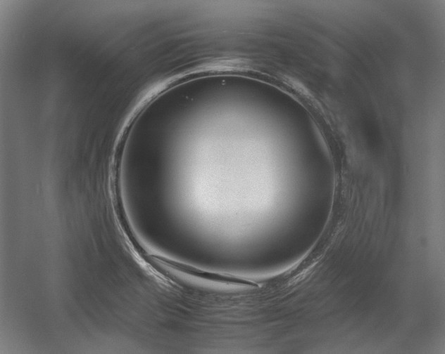 X0000058101421200509230948