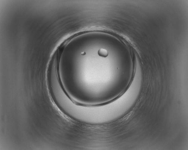 X0000058101422200509230948