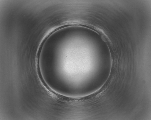 X0000058101424200509230948
