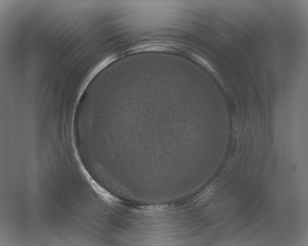 X0000058101426200509230948