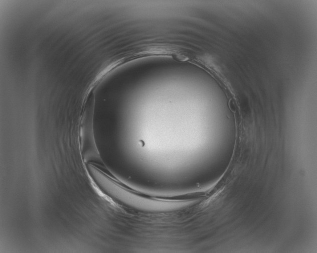 X0000058101433200509230948