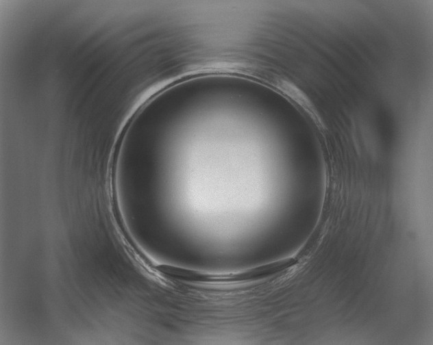 X0000058101436200509230948