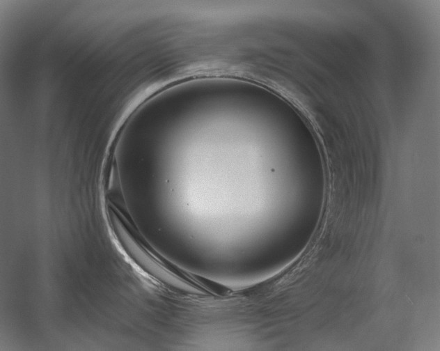 X0000058101440200509230948