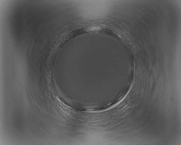 X0000058101441200509230947