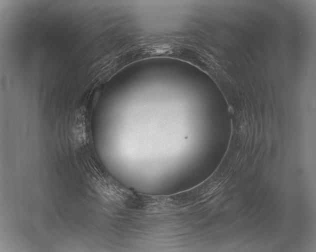 X0000058101442200509230947