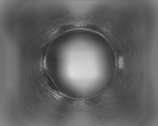 X0000058101444200509230947