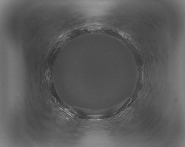 X0000058101445200509230947