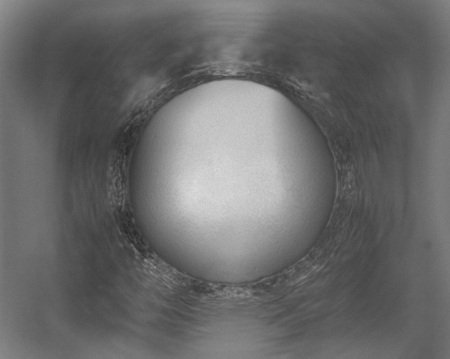 X0000058101446200509230947