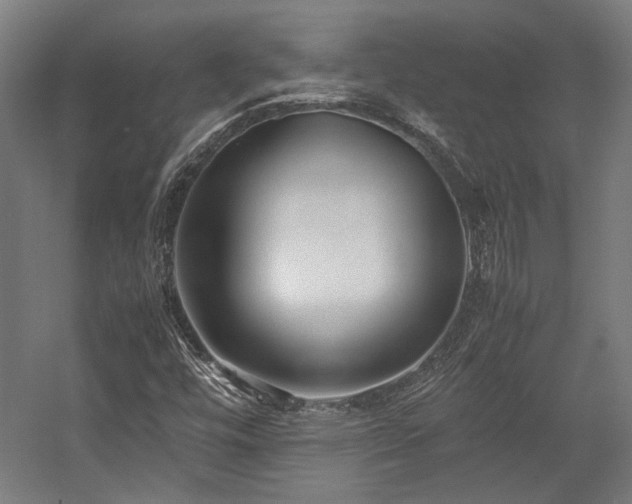 X0000058101448200509230947