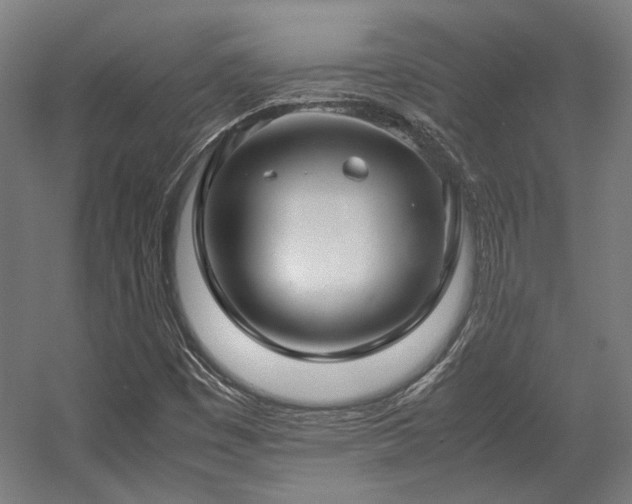 X0000058101449200509230947